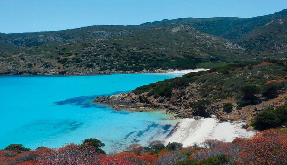 Tra le spiagge dell'Asinara più belle c'è Cala d'Arena