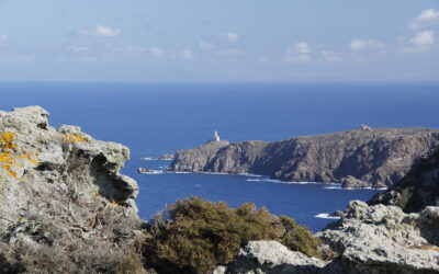 Excursions on Asinara with expert guides in 4×4 vehicles